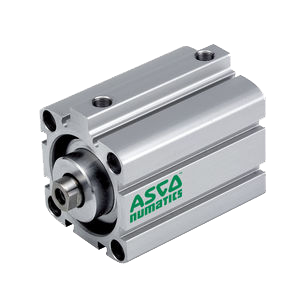 AscoNeu